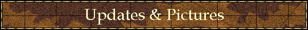 Updates & Pictures