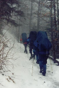 Leaving Newfound Gap